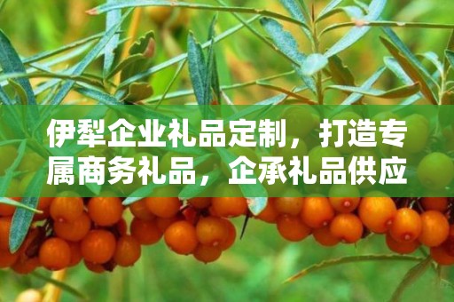 伊犁企业礼品定制，打造专属商务礼品，企承礼品供应链助力企业福利升级
