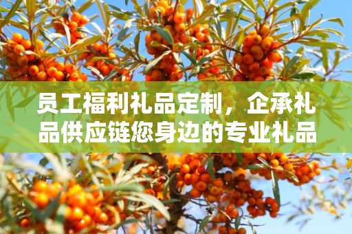 员工福利礼品定制，企承礼品供应链您身边的专业礼品定制公司
