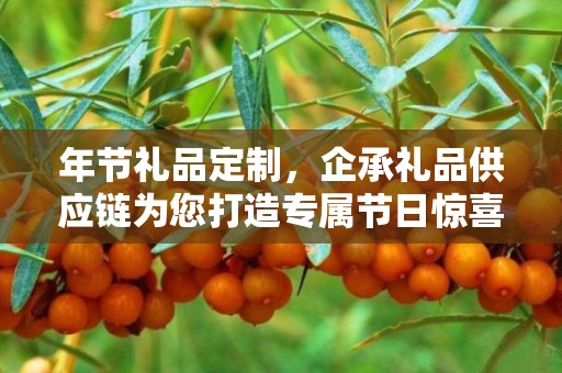 年节礼品定制，企承礼品供应链为您打造专属节日惊喜
