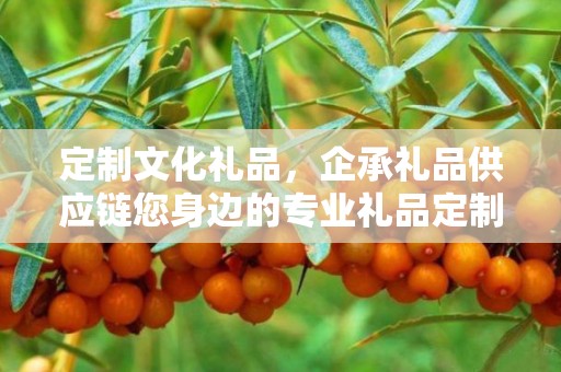 定制文化礼品，企承礼品供应链您身边的专业礼品定制公司